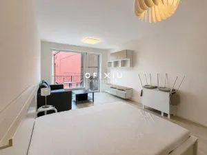 Pronájem bytu 1+kk, Brno, Dornych, 29 m2