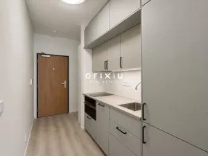 Pronájem bytu 1+kk, Brno, Dornych, 29 m2