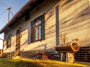 Prodej chalupy, Žákava, 100 m2