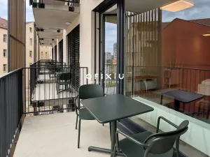 Pronájem bytu 1+kk, Brno, Dornych, 29 m2