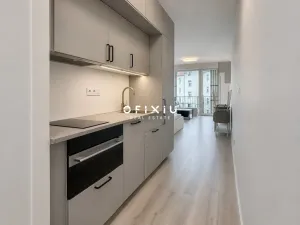 Pronájem bytu 1+kk, Brno, Dornych, 29 m2