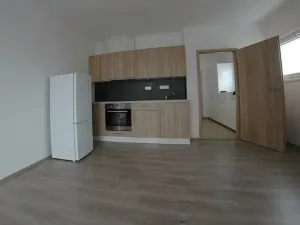 Pronájem bytu 1+kk, Plzeň, Na Chmelnicích, 29 m2