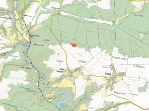 Prodej lesa, Plasy, 10814 m2