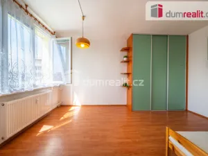 Pronájem bytu 1+1, České Budějovice - České Budějovice 3, Puklicova, 35 m2