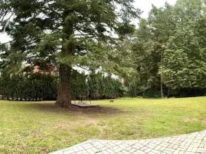 Pronájem bytu 2+kk, Včelná, Lesní kolonie, 46 m2