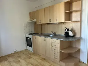 Pronájem bytu 3+1, Dobřany, Loudů, 68 m2