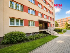 Pronájem bytu 1+kk, Ostrava - Moravská Ostrava, Petra Křičky, 28 m2