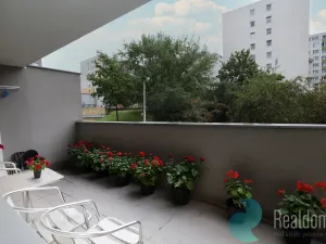 Prodej bytu 3+1, Praha - Žižkov, Roháčova, 72 m2
