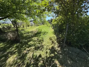 Prodej pozemku pro bydlení, Orlová, 5699 m2