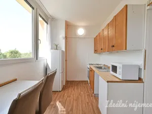Pronájem bytu 1+1, Brno, Ibsenova, 35 m2