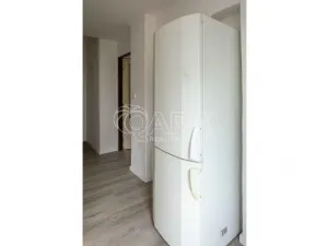 Pronájem bytu 1+1, Mělník, Čechova, 35 m2