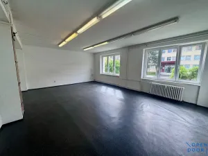 Pronájem obchodního prostoru, Litvínov, Ruská, 45 m2
