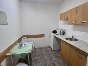 Pronájem obchodního prostoru, Litvínov, Ruská, 45 m2