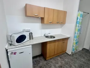 Pronájem obchodního prostoru, Litvínov, Ruská, 45 m2