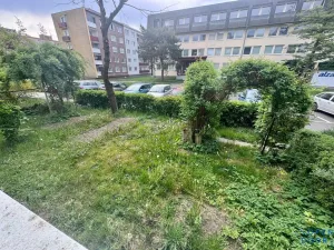 Pronájem obchodního prostoru, Litvínov, Ruská, 45 m2