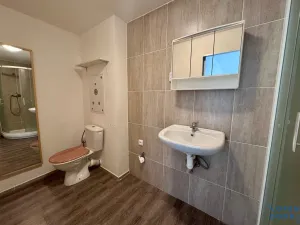 Pronájem bytu 1+1, Litvínov, Ruská, 36 m2