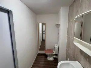 Pronájem bytu 1+1, Litvínov, Ruská, 36 m2