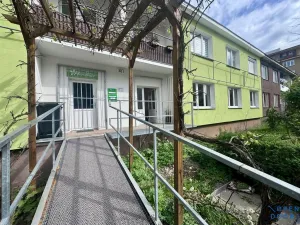 Pronájem bytu 1+1, Litvínov, Ruská, 36 m2