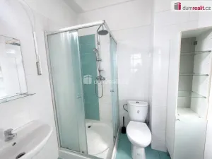 Pronájem bytu 3+kk, Chlumec, Holubova, 100 m2