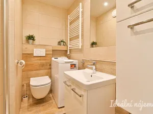 Pronájem bytu 1+1, Brno, Hodonínská, 32 m2