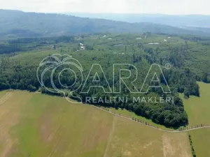 Prodej lesa, Hostašovice, 17015 m2