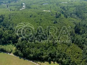 Prodej lesa, Hostašovice, 17015 m2