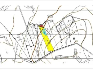 Prodej lesa, Hostašovice, 17015 m2