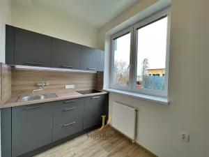 Pronájem bytu 1+1, Olomouc - Bělidla, Libušina, 38 m2