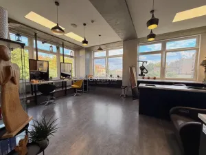 Prodej komerční nemovitosti, Chomutov, 70 m2