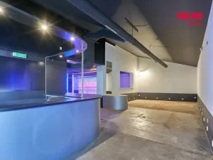 Pronájem obchodního prostoru, Drslavice, 365 m2
