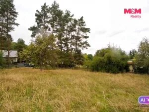 Prodej chaty, Družec, 21 m2