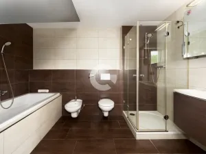 Prodej rodinného domu, Zádveřice-Raková - Zádveřice, 163 m2