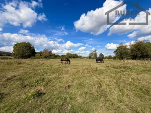 Prodej pozemku pro bydlení, Ctiboř, 82911 m2