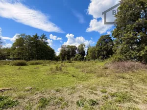 Prodej pozemku pro bydlení, Ctiboř, 82911 m2