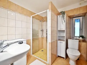 Prodej rodinného domu, Milešov, 250 m2