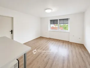 Prodej bytu 2+1, Znojmo, Hálkova, 68 m2