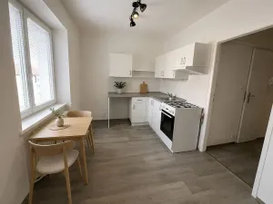 Pronájem bytu 1+1, Litvínov, Podkrušnohorská, 29 m2