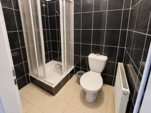 Pronájem bytu 1+kk, Teplice, Brožíkova, 20 m2