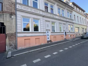 Pronájem bytu 1+kk, Teplice, Brožíkova, 20 m2