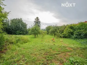 Prodej pozemku pro bydlení, Loštice, 3456 m2