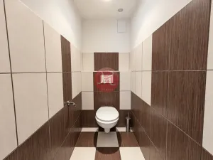 Prodej výrobních prostor, Hranice, Hranická, 340 m2