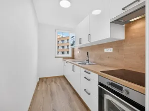 Pronájem bytu 2+1, České Budějovice, L. M. Pařízka, 53 m2