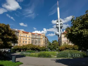 Pronájem bytu 2+1, Praha - Žižkov, Škroupovo náměstí, 78 m2