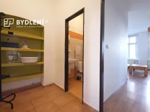 Pronájem bytu 1+1, Teplice, Revoluční, 48 m2