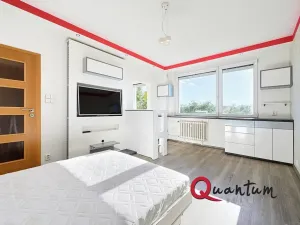 Prodej bytu 1+kk, Praha - Chodov, Ledvinova, 30 m2