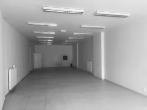 Pronájem obchodního prostoru, Brno - Zábrdovice, Cejl, 135 m2