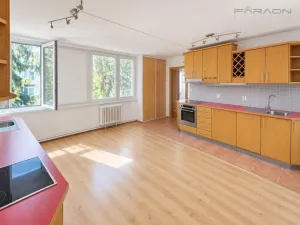 Prodej bytu 3+kk, Praha - Karlín, Molákova, 55 m2
