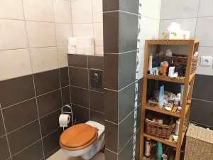 Pronájem bytu 2+kk, Praha - Nusle, Marie Cibulkové, 66 m2