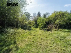 Prodej zahrady, Nymburk, 2442 m2