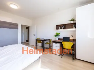 Pronájem bytu 1+kk, Plzeň - Jižní Předměstí, Magisterská, 27 m2